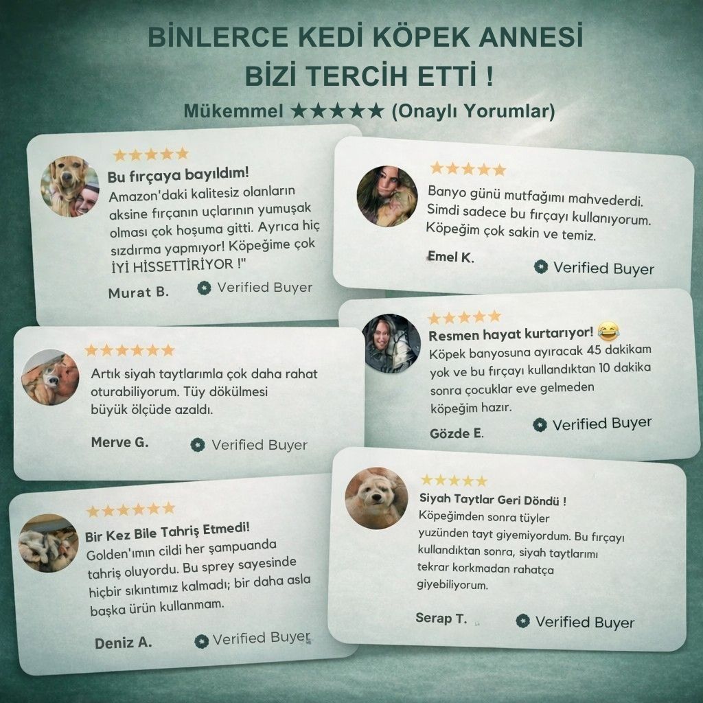 Bubbili Buharlı Tüy Toplama Makinesi